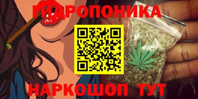 кокс Ярославль