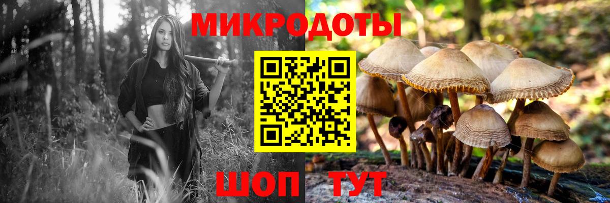 Галлюциногенные грибы мухоморы  Вход с VPN  Камень-на-Оби  Псилоцибиновые грибы GOLDEN TEACHER 